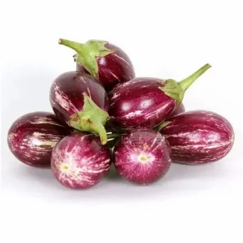 Brinjal (1)-5894314-14927.webp